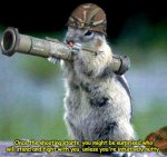 squirrel-bazooka.jpg