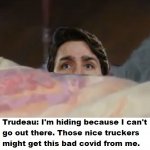 Trudeau Fear-2.jpg