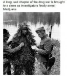 marijuanaarrested.jpg