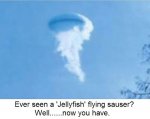 Jellyfish UFO-B.jpg