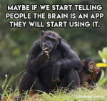 Ape App.png