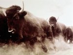 Picture21.jpg