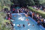 Pool Party.jpg