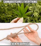 cannabis cures.png