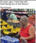 flying cars 50 years in future.jpg