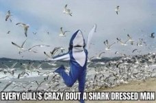 shark dressed man.jpg