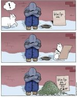 help me feed my cat.jpeg