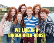 ginger bred house.jpg