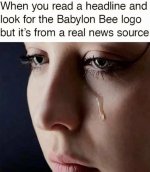 look for babylon bee logo.jpg