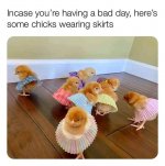 chicksWskirts.jpg