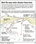 graphic_BirdFlu060413.gif