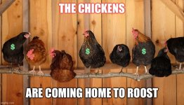 chickens roost2.jpg