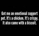 emotional support chicken.jpg