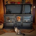 cat & stove.jpg