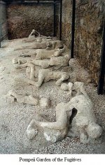 Pompeii - Garden of the Fugitives.jpg