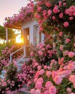 rose cottage.jpeg