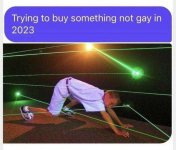 trying to buy something not gay in 2023.jpeg