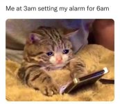 3am setting alarm for 6am.jpg