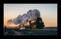 IMG_2387.jpeg