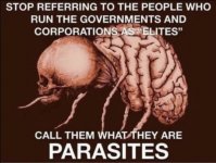 Parasites.JPG