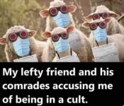 cult.jpg