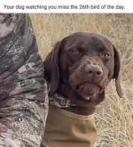 1695222478315.png