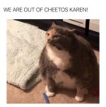 we are out of cheetos karen.jpg