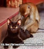 massage monkey can stay.jpeg