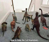 how to keep the cat downstairs.png