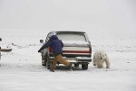 bear6.jpg