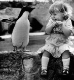 penguin friend.jpg