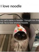 chicken noodle.jpg