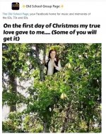 on the first day of Christmas.jpg