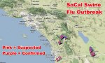 flucal.jpg
