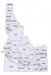 stout16.jpg
