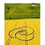 Milk Hill Crop Circle.jpg