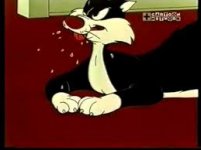 sylvester the cat.jpg