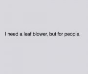leaf blower for people.jpg