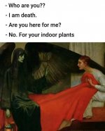 death came for your plants.jpg