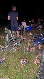 IMG_9669.jpeg IMG_9669.jpeg