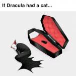 Dracula-s-Cat.png