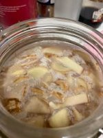 How to fight recurring Kham yeast : r/fermentation