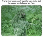 1717526255550.png