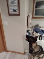 IMG_20240730_010643676.smalljpg.jpg