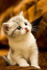 86561035-6F2E-4B88-AC4A-256547F786E4.jpeg
