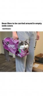 empty soda cases.jpg