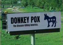 donkey.JPG