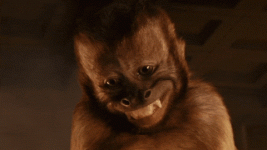 Monkey Pox.gif