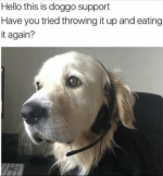 1723965381004.png