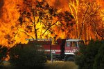 Bunyip fires 7-2-09.jpg